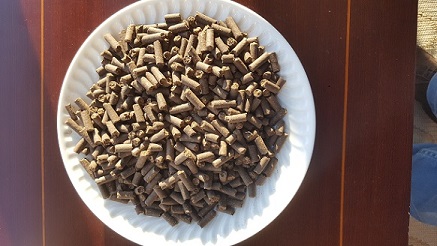 Bagaço de Azeitona (granulado / pellets)